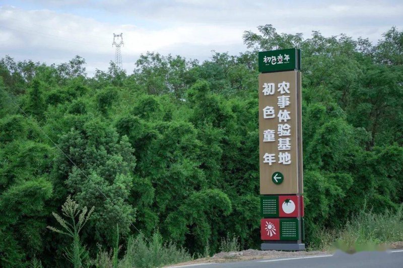 东山镇餐饮